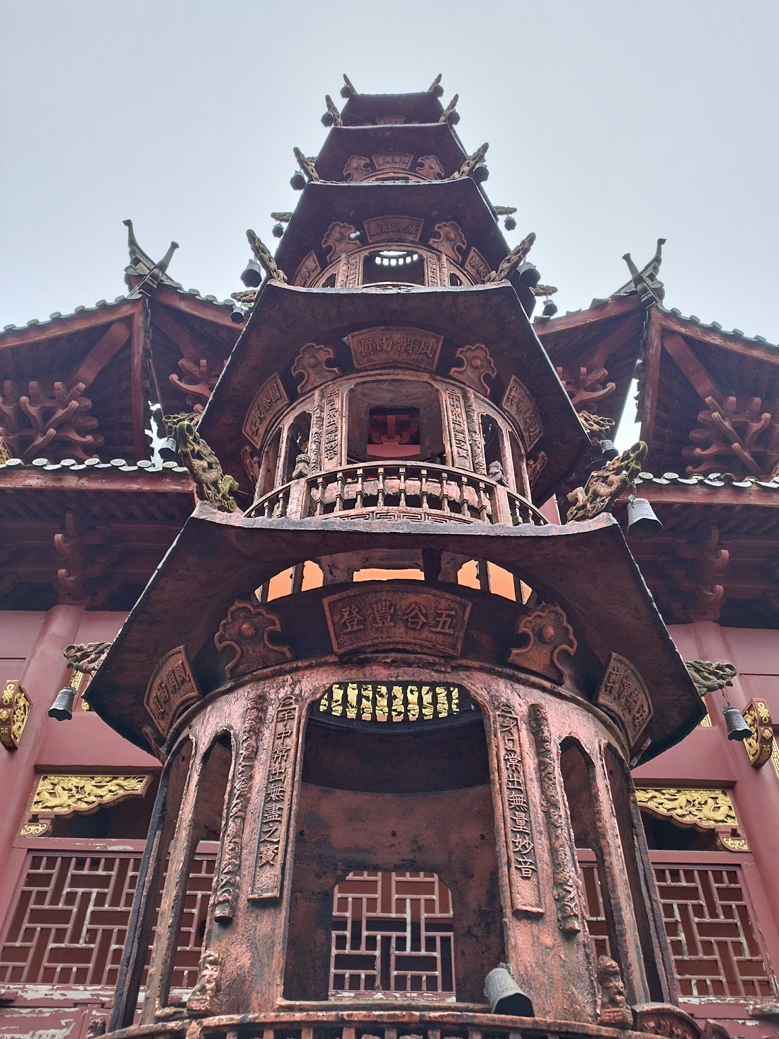 How Cult Surfing actually started